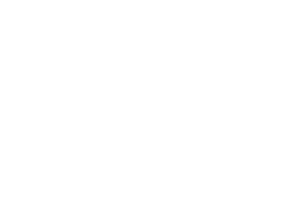 pegasoft logo